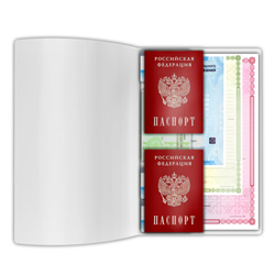 Папка-органайзер, обложка семейная для 2-х комплектов документов, А4, ПВХ, матовая, STAFF, 238873