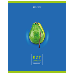 Тетрадь предметная ''AVOCADO'' 48 л., глянцевый лак, ЛИТЕРАТУРА, линия, подсказ, BRAUBERG, 404281