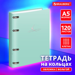 Тетрадь на кольцах А5 160х212 мм, 120 листов, картон, фольга, клетка, BRAUBERG, ''Pastel'', 404734
