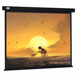 Экран Cactus Wallscreen CS-PSW-150X150-BK, 150x150 см, 1:1, настенно-потолочный, черный, PSW-150x150