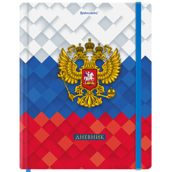Дневник 1-11 класс 48 л., твердый, BRAUBERG, матовая ламинация, резинка, закладка-ляссе, с подсказом