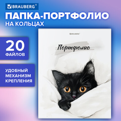 Папка-портфолио универсальная, 4 кольца, 20 файлов, 7БЦ матовая, BRAUBERG ''Cat'', 107557, 117557