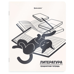 Тетрадь предметная КОТ-НЕПОСЕДА 48 л., пластиковая обложка, ЛИТЕРАТУРА, линия, подсказ, BRAUBERG, 40