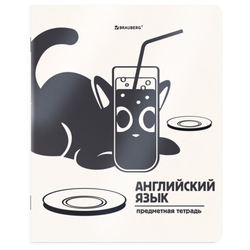 Тетрадь предметная КОТ-НЕПОСЕДА 48 л., пластиковая обложка, АНГЛИЙСКИЙ ЯЗЫК, клетка, подсказ, BRAUBE