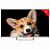 Телевизор TOPDEVICE TDTV32CS03H_WE, 32'' (80 см), 1366x768, HD, 16:9, YaOS, Wi-Fi, Bluetooth, белый