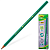 Карандаш чернографитный BIC, 1 шт., ''Evolution'', HB, корпус зеленый, 8803112